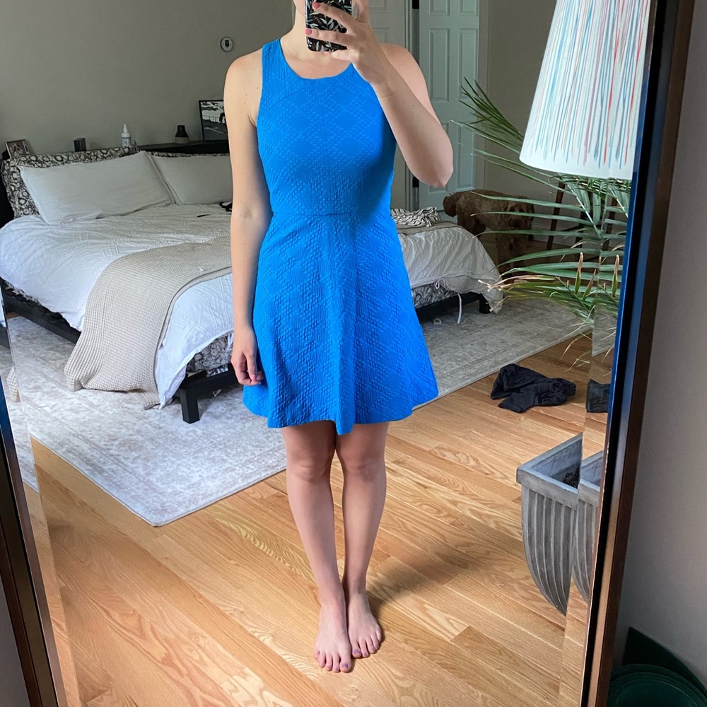 Cobalt Blue Banana Republic Textured Mini Dress